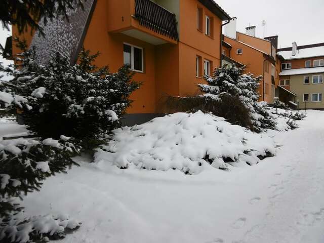 Апартаменты Apartament U Janusza Новы-Тарг-21