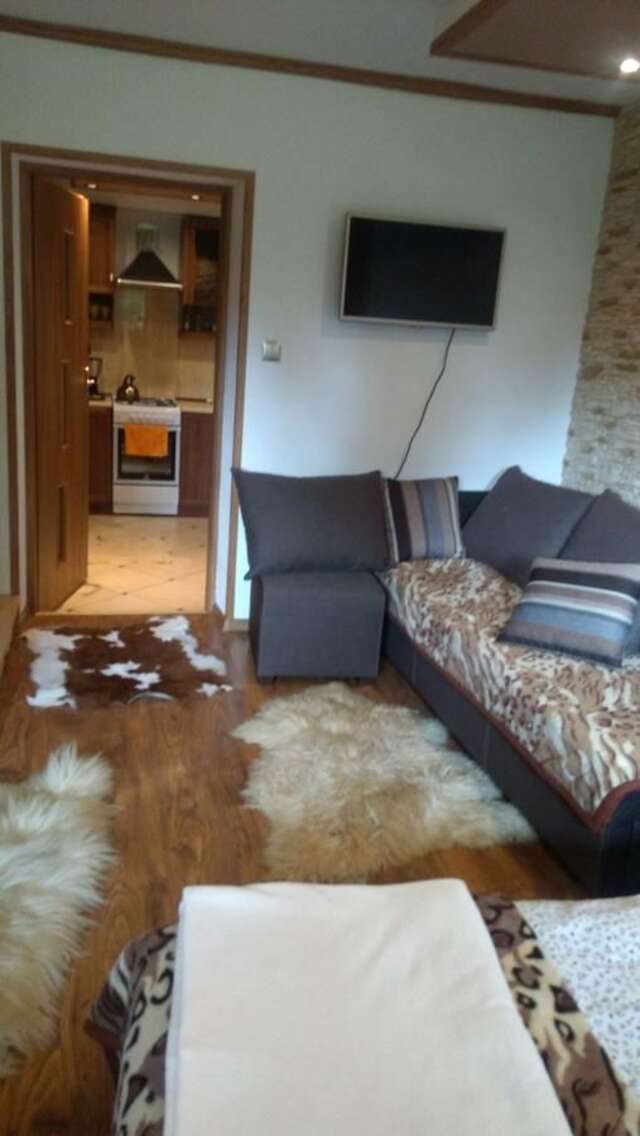 Апартаменты Apartament U Janusza Новы-Тарг-4