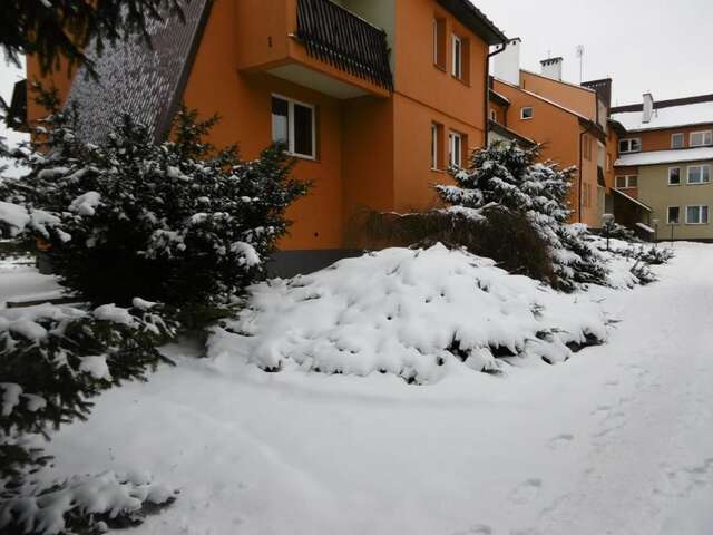 Апартаменты Apartament U Janusza Новы-Тарг-27
