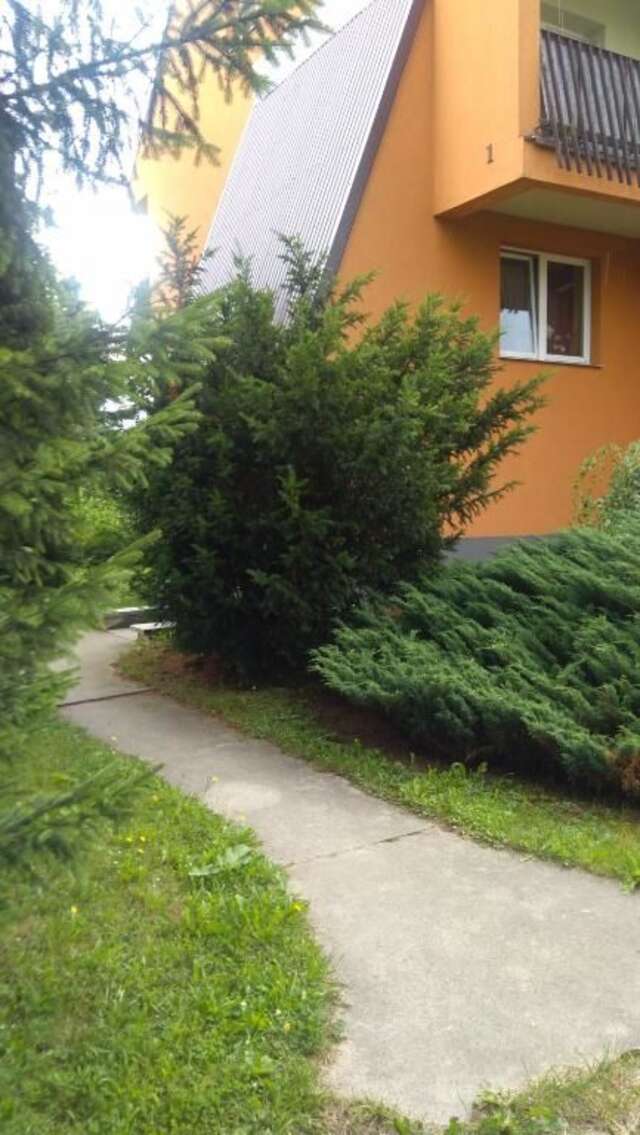 Апартаменты Apartament U Janusza Новы-Тарг-36